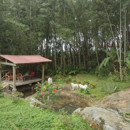 Finca clima templado, quebrada y jacuzzi; los clientes pueden usar todo el espacio y no tendrán que compartirlo con el anfitrión ni con otros huéspedes, calles en buen estado Alban  Exterior foto