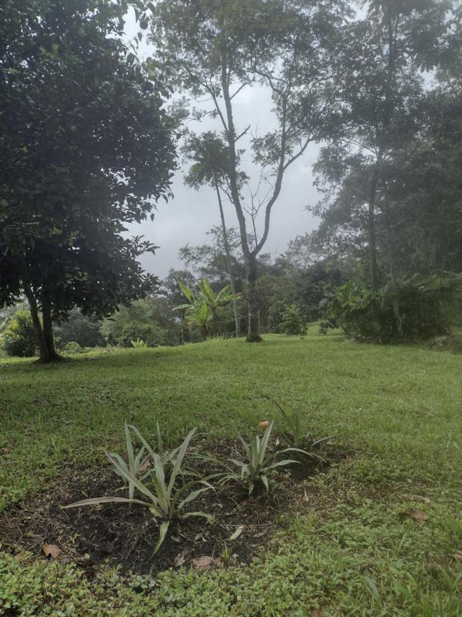 Finca clima templado, quebrada y jacuzzi; los clientes pueden usar todo el espacio y no tendrán que compartirlo con el anfitrión ni con otros huéspedes, calles en buen estado Alban  Exterior foto