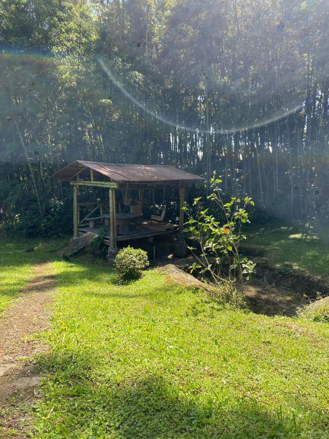 Finca clima templado, quebrada y jacuzzi; los clientes pueden usar todo el espacio y no tendrán que compartirlo con el anfitrión ni con otros huéspedes, calles en buen estado Alban  Exterior foto