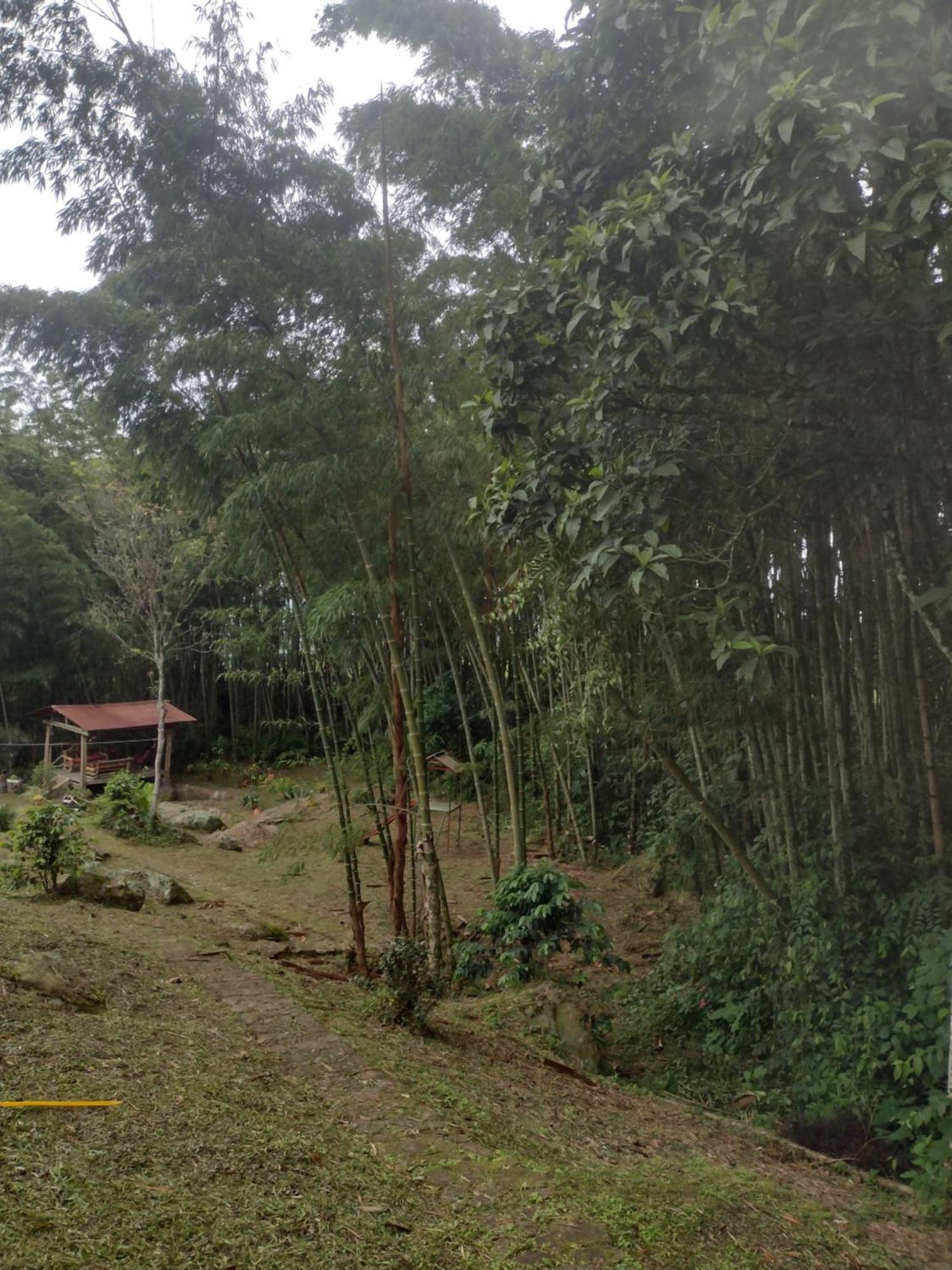 Finca clima templado, quebrada y jacuzzi; los clientes pueden usar todo el espacio y no tendrán que compartirlo con el anfitrión ni con otros huéspedes, calles en buen estado Alban  Exterior foto